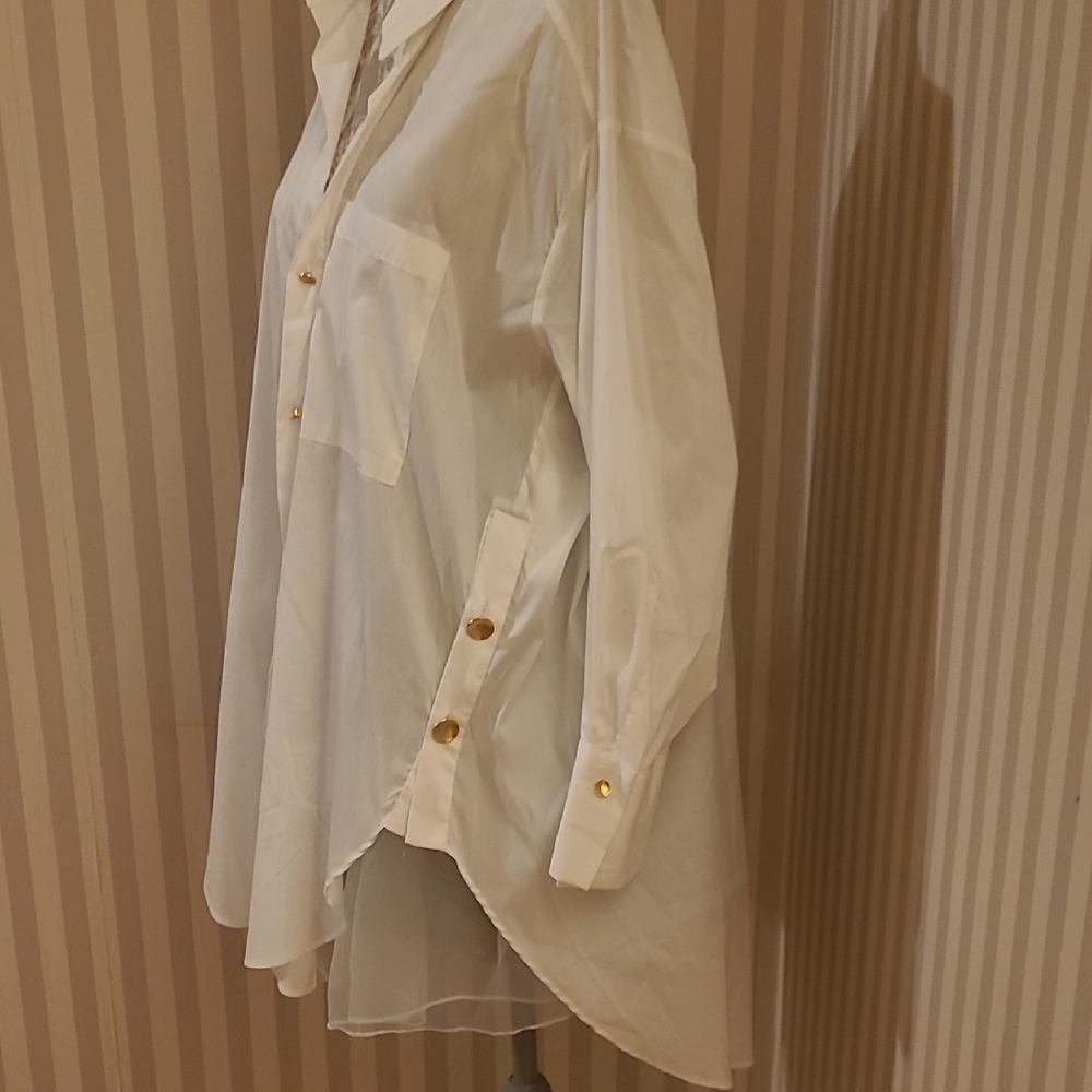 Zara Elegant Cream Button-Down Blouse - Picture 4 of 5